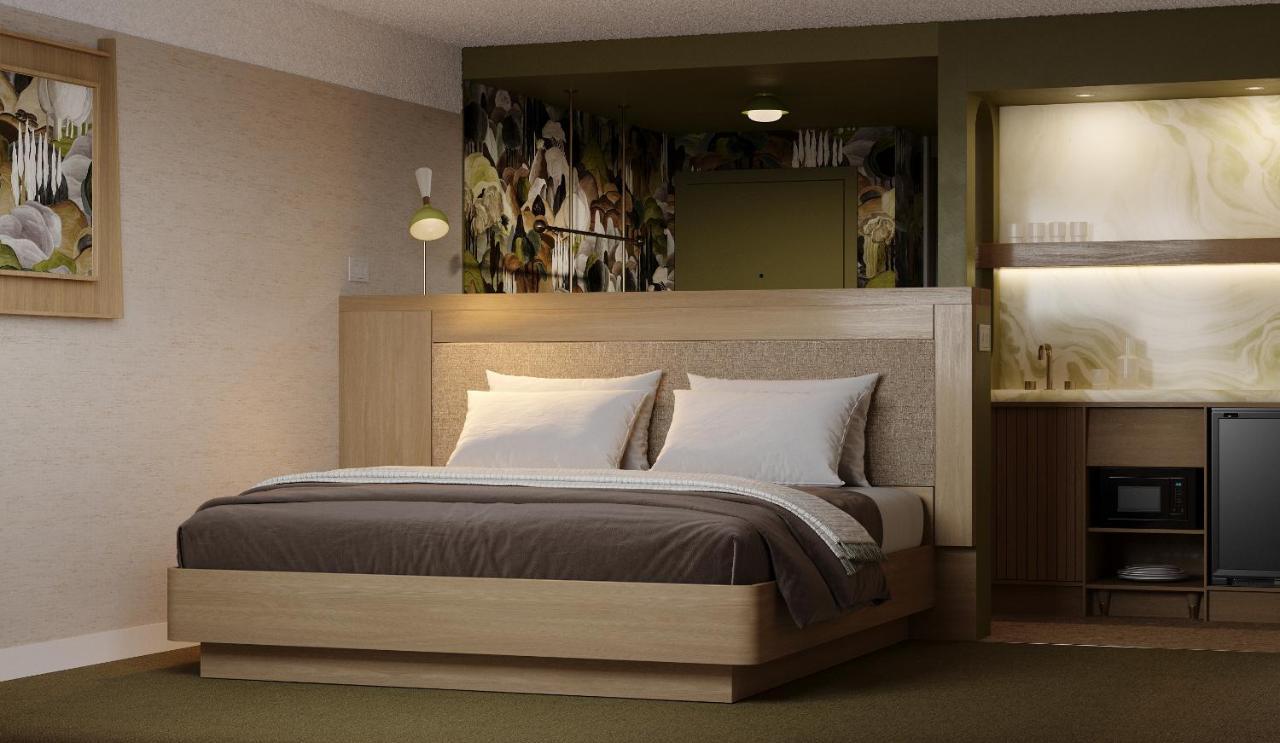 Hotel Zed Tofino Rum bild